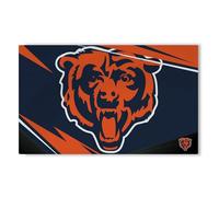 Northwest The Company NFL Washable Rug, 36" x 60", Shredder, Team Colors (Chicago Bears)