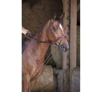 NORTON PRO draw reins made of leather cord Havana Warmblood