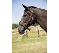 Norton Unisex Adult 510193 Draught Horse Headcollar - Brown, One Size