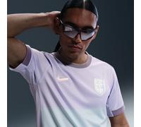 Norway 2025 Stadium Away (Women's Team) Men's Nike Dri-FIT Football Replica Shirt - Purple - Polyester XXL