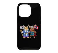 Norway South Korean Flag Norwegian Korean Roots Case for iPhone 13 Pro