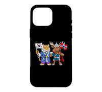 Norway South Korean Flag Norwegian Korean Roots Case for iPhone 16 Pro Max
