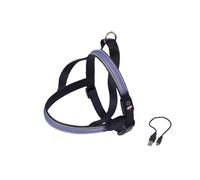 Norwegian dog harness Nobby Pet Flash Mesh