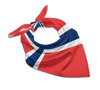 Norwegian Flag Square Kerchief Silk-Like Scarf Printed Bandanas Soft Face Mask Handkerchiefs Party Favor 25"x25"