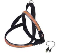 Norwegian harness for dogs Nobby Pet Flash Mesh