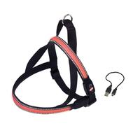 Norwegian harness for dogs Nobby Pet Flash Mesh