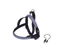 Norwegian harness for dogs Nobby Pet Flash Mesh