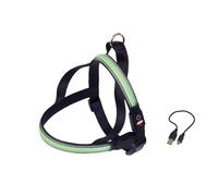 Norwegian harness for dogs Nobby Pet Flash Mesh
