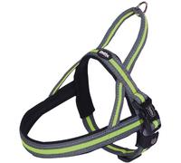 Norwegian harness for dogs Nobby Pet Variado