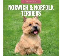 Norwich & Norfolk Terriers - 2026 Square Wall Calendar - by Red Robin Publishing
