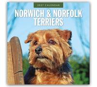 Norwich & Norfolk Terriers 2027 Square Wall Calendar: Original Red Robin Publishing Ltd-Kalender [Mehrsprachig] [Kalender]