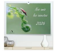 Nos amis les insectes (Calendrier mural 2026 DIN A2 vertical) calendrier de bureau: Un regard fascinant sur le monde miniature des insectes.