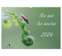 Nos amis les insectes (Calendrier mural 2026 DIN A2 vertical), CALVENDO calendrier mensuel: Un regard fascinant sur le monde miniature des insectes.