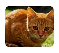 Nose Wiggle Non-Slip Mouse Pad, High-Density Cloth Surface & Rubber Base, Smooth Precision Control for Gaming, Office & Home, Waterproof Easy-Clean Mouse Mat