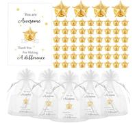 Nosiny Star Pins Employee Appreciation Gift Include Star Badge Lapel Pins Bulk Valentines Inspirational Greeting Cards and Bags Thank You Gifts for Women Team Volunteer Teacher Nurse, 0.63 x 0.63