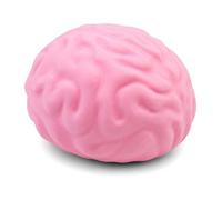 Nostalgia And Novelty Giant Stress Brain