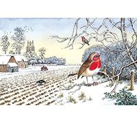 Nostalgic Traditional Christmas Card Robin on Branch Winter Snow Scene - 20cm x 15cm