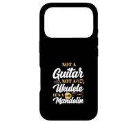 Not A Guitar Not A Ukulele It's A Mandolin Case for iPhone 17 Pro