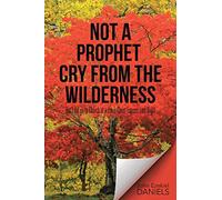 Not a Prophet Cry from the Wilderness: But I did go to Church at a Jesus Christ Express Last Night