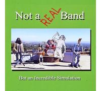 Not A Real Band, But An Incredible Simulation
