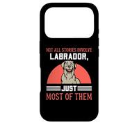 Not all stories involve Labrador Case for iPhone 17 Pro