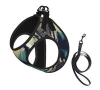 Not All Who Wander are Lost 1 Print Step in Dog Harness and Leash Set,Adjustable Reflective Harness for Small Dogs Cats