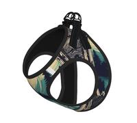 Not All Who Wander are Lost 1 Print Step in Dog Harness and Leash Set,Adjustable Reflective Harness for Small Dogs Cats