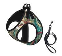 Not All Who Wander Are Lost Print Harness Leash Set For Cat And Small Dog, Adjustable, Reflective, And Escape-Proof Vest With Soft Breathable Mesh Lining