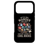 Not All Who Wander Are Lost Some Looking For Rocks Geologist Case for iPhone 17 Pro