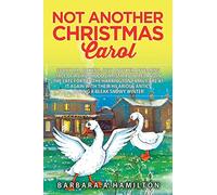 Not Another Christmas Carol: Sorry Mr. Dickens, but another appealing tale of a childhood Christmas in Ireland in the late forties The Harrington ... Volume 2 (Adventures in Simpler Times)