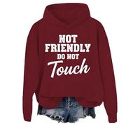Not Friendly Do Not Touch Sweatshirt & Hoodie Funny Introvert Sarcastic Long Sleeve Anti Social Humor Shirt for Women