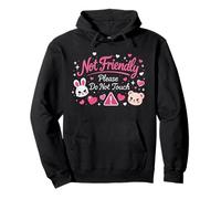 Not Friendly Please Do Not Touch Pullover Hoodie