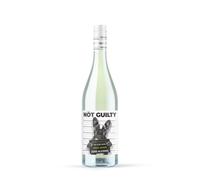 Not Guilty Pinot Grigio White Wine - Alcohol Free 0 percent ABV, 6x75cl