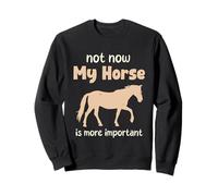 Not Now My Horse Is More Important Funny Horse Lover Sweatshirt