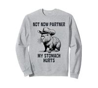 Not Now Partner My Tummy Hurts Sweatshirt