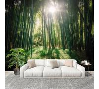 Not Self Adhesive - Nature Bamboo Bamboo Forest Scenery Non-Woven Wall Mural for Indoor Home Decoration Photo Wallpaper Green Bedroom Decoration Poster Wall Covering 300x210 cm