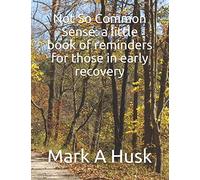 Not So Common Sense: a little book of reminders for those in early recovery