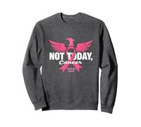 Not Today Cancer Stay Strong Fight On Pink Ribbon Phoenix Sweatshirt, Adult Unisex, Dark Heather Grey, L