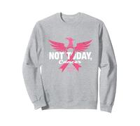 Not Today Cancer Stay Strong Fight On Pink Ribbon Phoenix Sweatshirt, Adult Unisex, Heather Grey, XXL