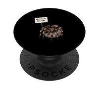 Not Today Exuviae Funny Tarantula Lover Humor PopSockets Adhesive PopGrip