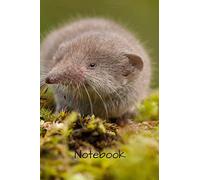 Notebook: 6" X 9" 150 page college lined soft covered journal,notebook, diary with " little brown vole " on a matte cover