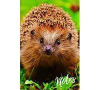 Notebook: Adorable Hedgehog Diary. Blank Lined Journal. Cute Hedgehogs Notepad For Animal & Wildlife Lovers