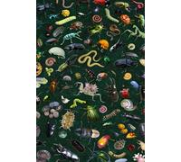 Notebook: Bugs and Insects, 100 Pages 6 x 9 Wide Ruled Lined Pages Journal Diary For Teens, Students, Nature Lovers, and Study Notes (Composition Notebook)