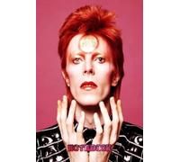 Notebook : David Bowie Lined Notepad | Blank Ruled Journal to Write Notes, Thankgiving Notebook : Daily Writing Diary #140