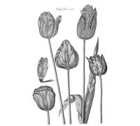 Notebook: Dot Grid / Blank Paper | Journal for Sketching Mixed Media Gratitude Bullet Journaling Scrapbooking | Vintage Tulips Cover