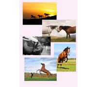 Notebook for horse lovers. Horses on every page.: Lined journal for animal fans.