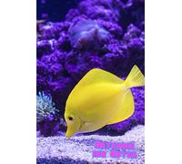 Notebook for notes Tropical fish: Notebook for notes with Tropical fish on the cover. The design with Tropical fish on the cover notebook is perfect ... Notebook that makes your dream come true.