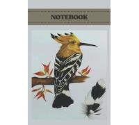 Notebook Hoopoe Birds: Cute Birds Print Journal | 6"x 9" 100-Page Notebook | Daily Journal Composition Notebook Logbook Grocery List | Beautiful Workbook Perfect for All Ages