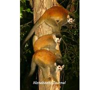 Notebook/Journal: Squirrel Monkey #2 - Wildlife and Inspirational Notebook/Journal - 128 lined pages in a 6x9 inch Softcover Notebook (Wildlife Central America)