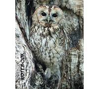 NOTEBOOK: Large Composition Notebook (8.5 x 11) - College Ruled Pages - Cute and Funny Animal Cover Theme: OWL. Journal, Diary, Copybook. AWESOME GIFT IDEA